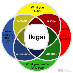 ikigai not ikigai