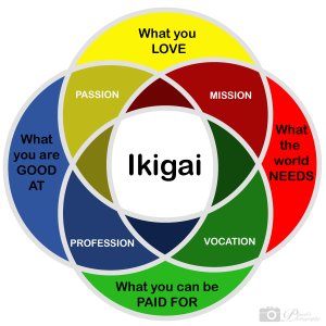 not ikigai